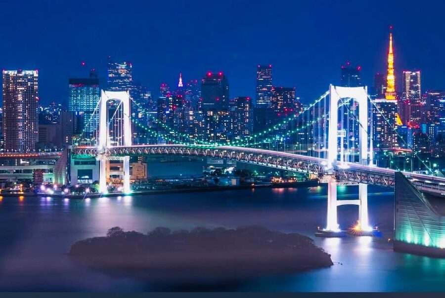 Tokyo Private Day Trip With English Speaking Driver - Key points to know before booking