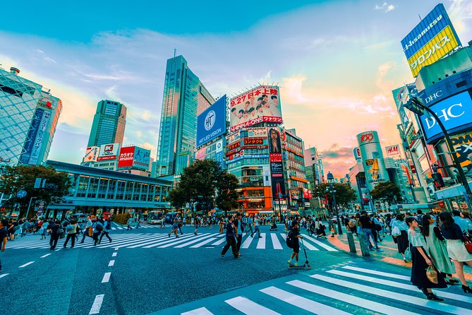 Tokyo Private Full-Day Tour by Car or Van - Imperial Palace East Gardens and the Edo Castle ruins