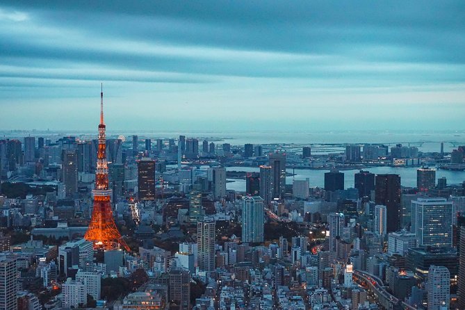 Tokyo Private Full-Day Tour by Car or Van - Odaiba, only if daylight and time remain
