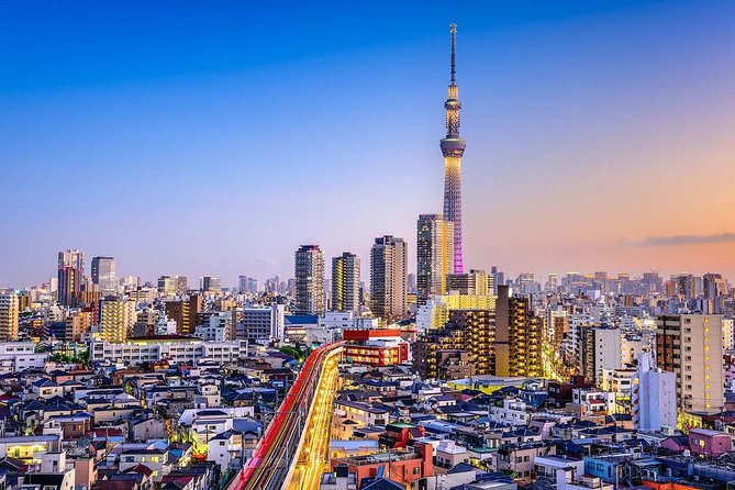 Tokyo Private Full-Day Tour by Car or Van - Tokyo Skytree: big views at an extra cost