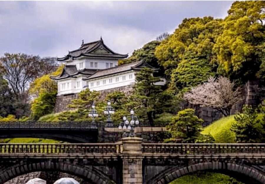 Tokyo: Private Guided Tour with Hotel Pickup and Drop-off - Key points to know before booking