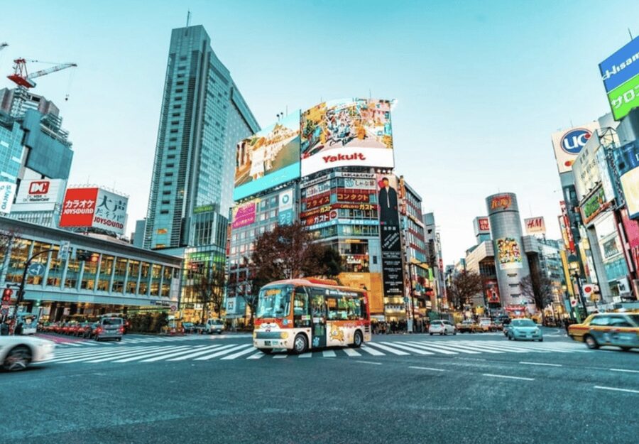 Tokyo: Private Guided Tour with Hotel Pickup and Drop-off - Why a private car helps in sprawling Tokyo