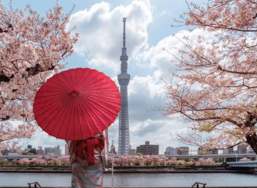 Tokyo: Private Guided Tour with Hotel Pickup and Drop-off - Tokyo Skytree adds height, but tickets cost extra