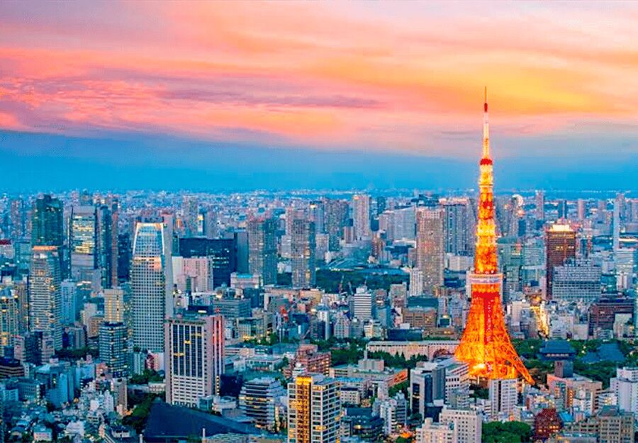 Tokyo: Private Guided Tour with Hotel Pickup and Drop-off - Meiji Shrine gives you quiet under the trees