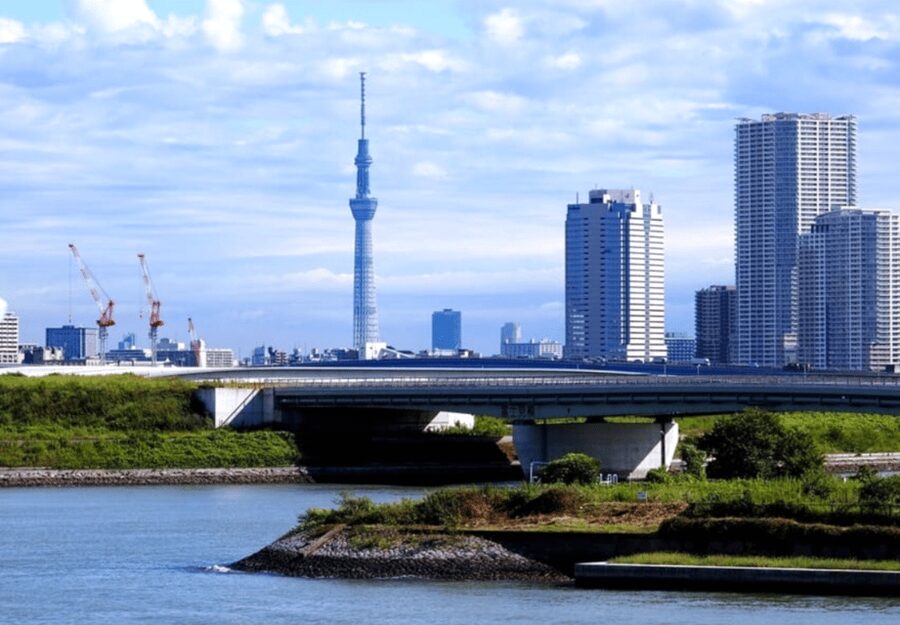 Tokyo: Private Guided Tour with Hotel Pickup and Drop-off - Harajuku and Shibuya show Tokyo’s youthful energy