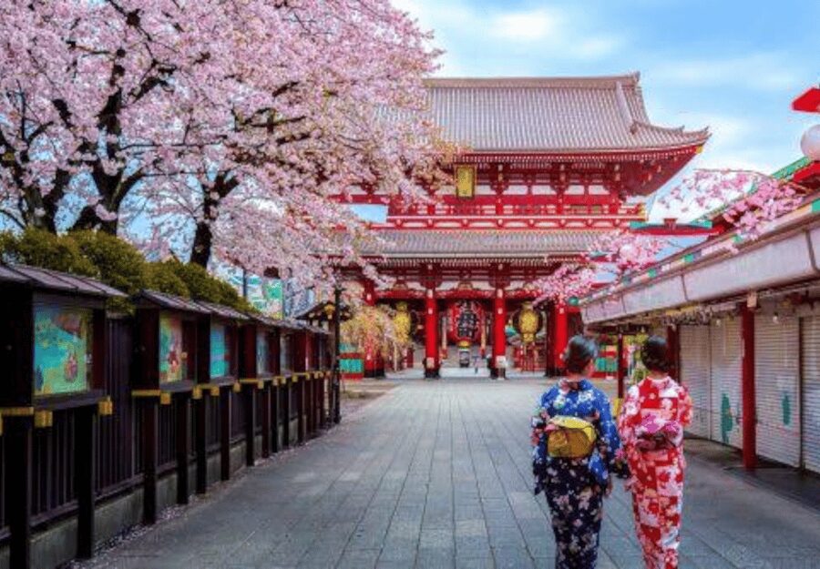 Tokyo: Private Guided Tour with Hotel Pickup and Drop-off - The Imperial Palace is a photo stop with limits