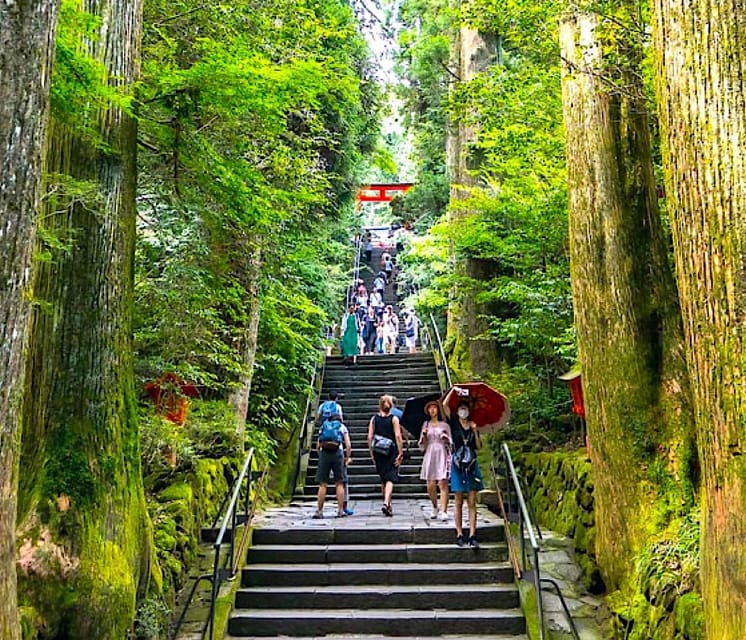 Tokyo: Private Mount Fuji and Hakone Day Trip with Guide - Why a private van helps around Mount Fuji