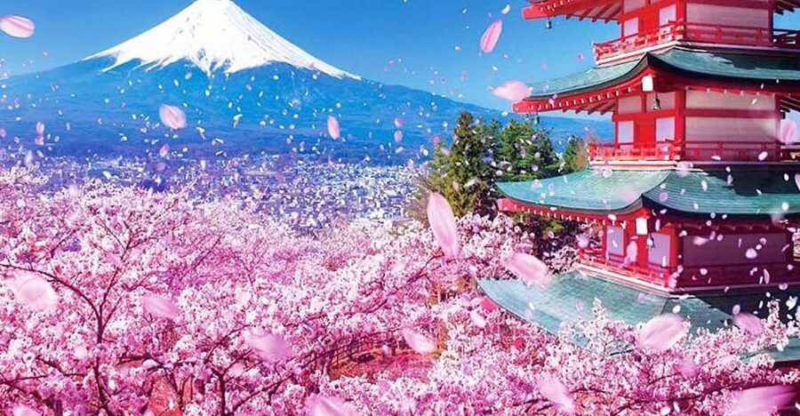 Tokyo: Private Mount Fuji and Hakone Day Trip with Guide - What the guide can add to the day