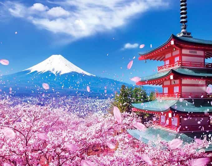 Tokyo: Private Mount Fuji and Hakone Day Trip with Guide - Oshino Hakkai brings a quieter start
