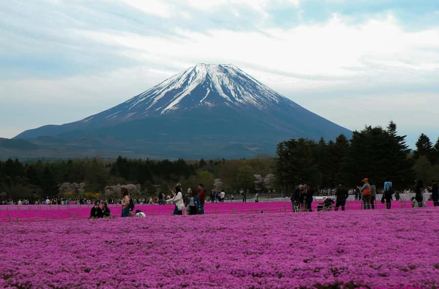 Tokyo: Private Mount Fuji Tour with Pickup and Drop-Off - Key points at a glance