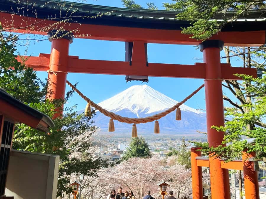 Tokyo: Private Mount Fuji Tour with Pickup and Drop-Off - Why a private Fuji trip makes sense