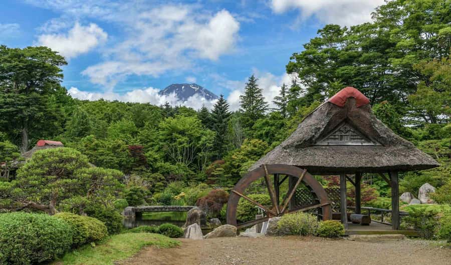 Tokyo: Private Mount Fuji Tour with Pickup and Drop-Off - Extra options around the mountain