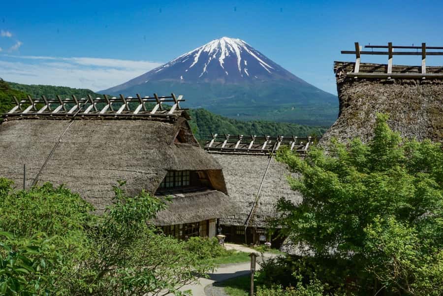 Tokyo: Private Mount Fuji Tour with Pickup and Drop-Off - How the guides shape the day
