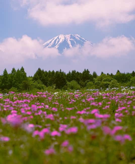 Tokyo: Private Mt. Fuji Luxury Day Tour – Fully Customizable - Key points to know before booking