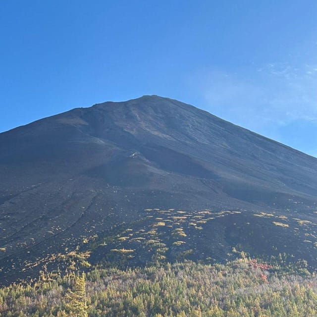Tokyo: Private Mt. Fuji Luxury Day Tour – Fully Customizable - The 5th Station gets you closest to the mountain
