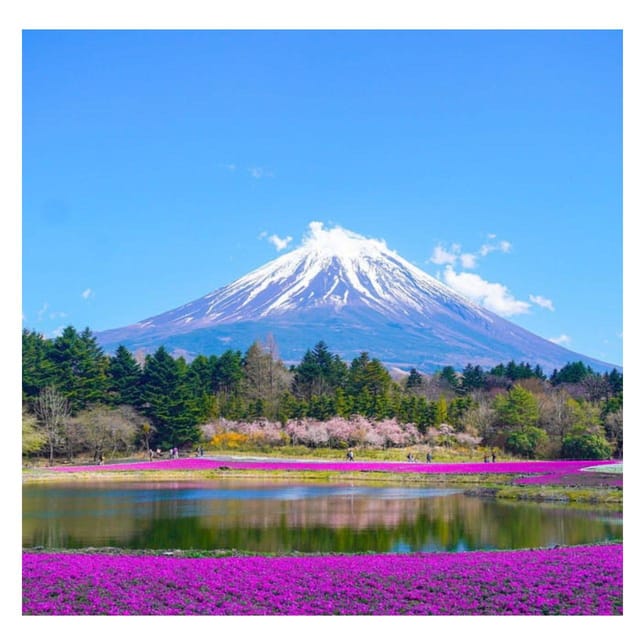 Tokyo: Private Mt. Fuji Luxury Day Tour – Fully Customizable - Why the driver matters more than the schedule