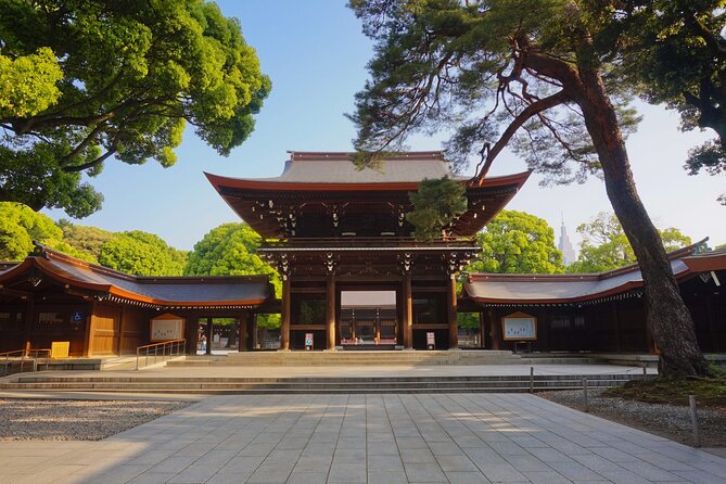 Tokyo Private SightSeeing Day Tour With Guide - Senso-ji brings old Asakusa into focus