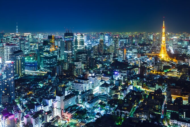 Tokyo Private Sightseeing Tour by Car and English Speaking Driver - Tokyo sightseeing made practical