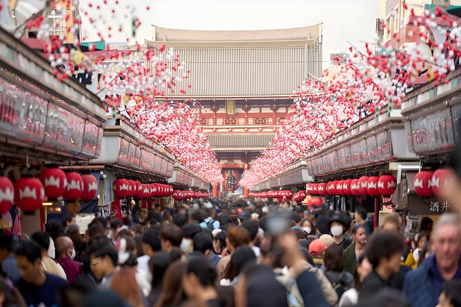 Tokyo Private Sightseeing Tour by Car and English Speaking Driver - Why a private car helps in Tokyo