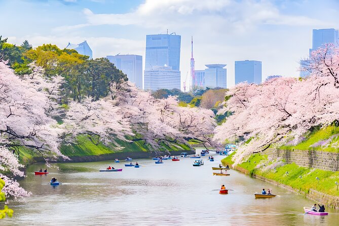 Tokyo Private Sightseeing Tour by Car and English Speaking Driver - The Imperial Palace and Tokyo Tower