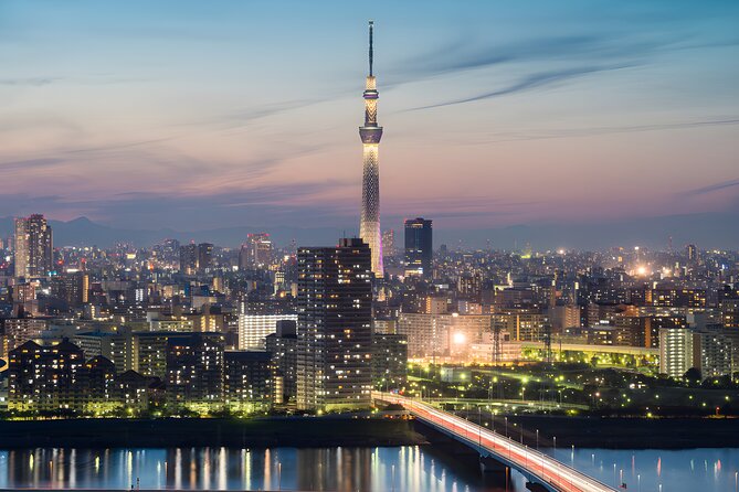Tokyo Private Sightseeing Tour by Car and English Speaking Driver - Shibuya Crossing and the final city rush