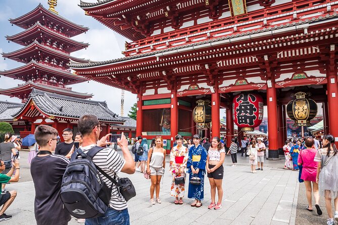 Tokyo Private Sightseeing Tour by Car- English speaking chauffeur - Why a private car helps in enormous Tokyo