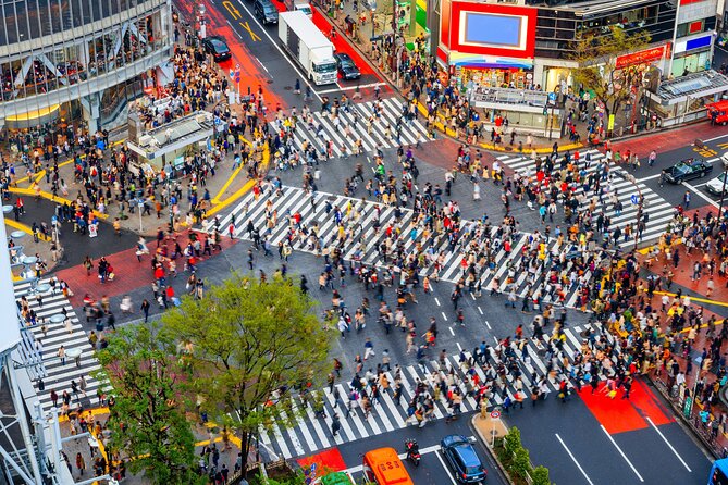 Tokyo Private Sightseeing Tour by Car- English speaking chauffeur - Tokyo Skytree and Tokyo Tower are different choices