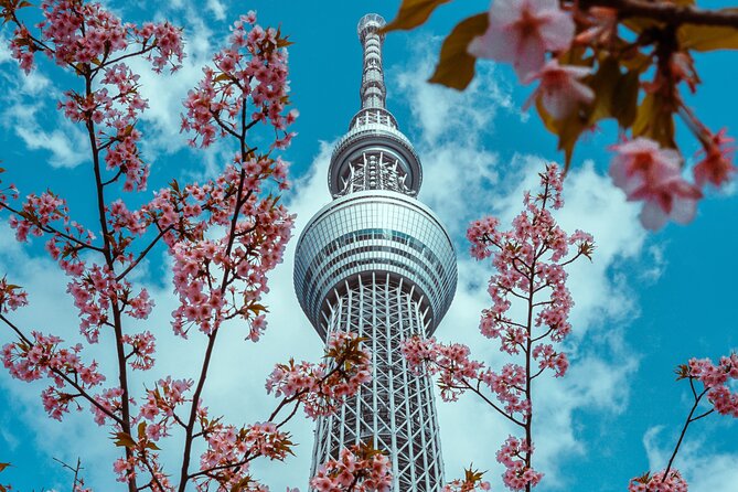 Tokyo Private Sightseeing Tour by Car- English speaking chauffeur - Shibuya Crossing after the quiet sights