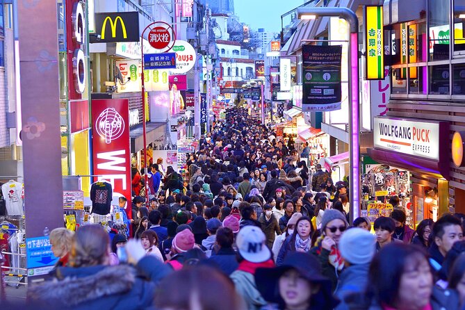 Tokyo Private Sightseeing Tour by Car- English speaking chauffeur - Odaiba adds a modern waterfront stop