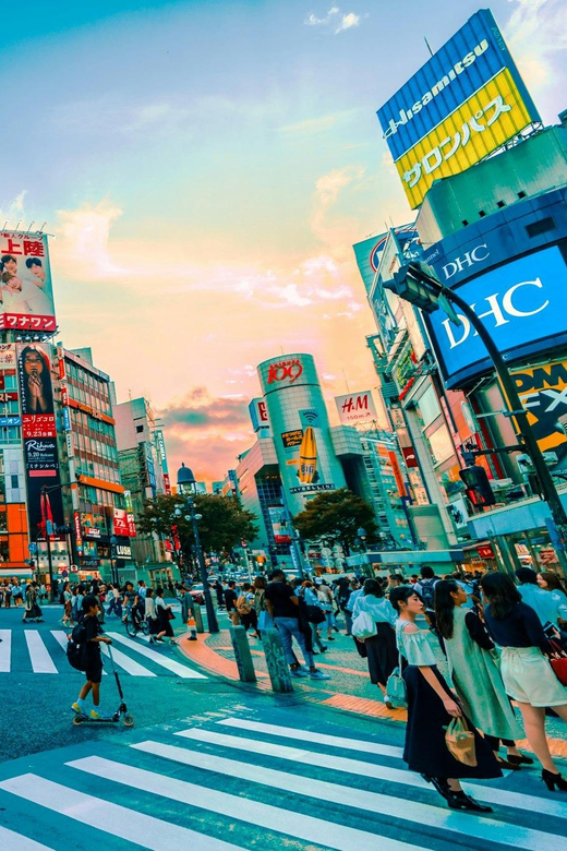Tokyo: Private Tailored Tour with a Local Guide - Tokyo in One Day: Key Points