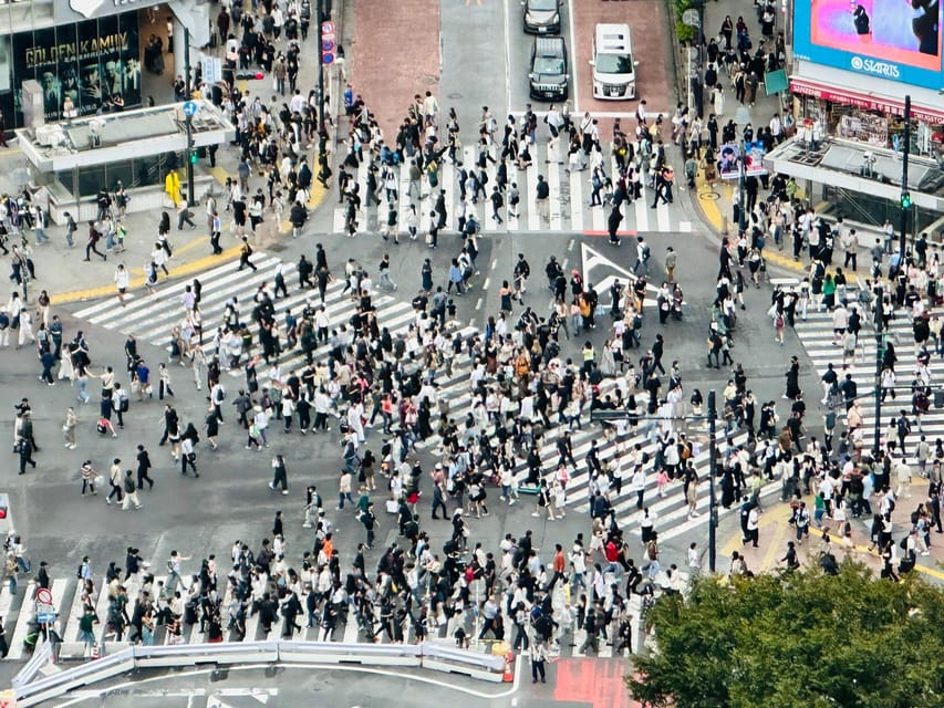 Tokyo: Private Tailored Tour with a Local Guide - Shinjuku Views and Omoide Yokocho