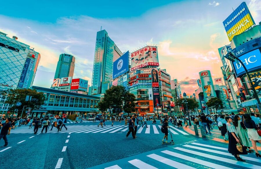 Tokyo: Private Tailored Tour with a Local Guide - What the Private Format Really Delivers