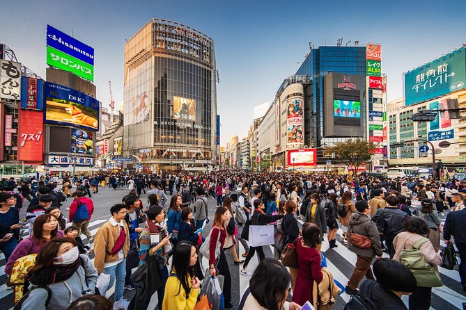 Tokyo Private Tour by Vehicle with English-Speaking Chauffeur - Eating your way through Tsukiji Outer Market