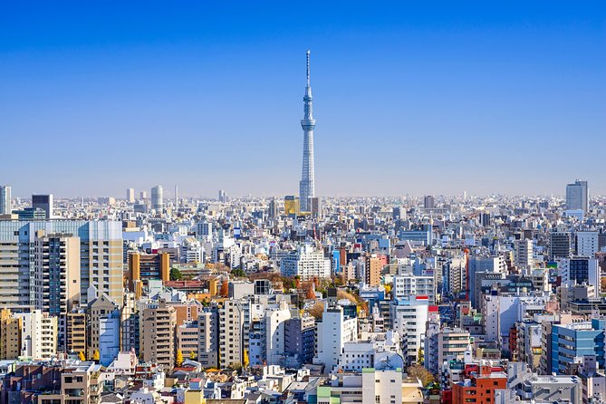 Tokyo Private Tour by Vehicle with English-Speaking Chauffeur - Harajuku and Takeshita Street
