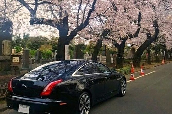 Tokyo Private Tour by Vehicle with English-Speaking Chauffeur - Starting with Senso-ji in Asakusa