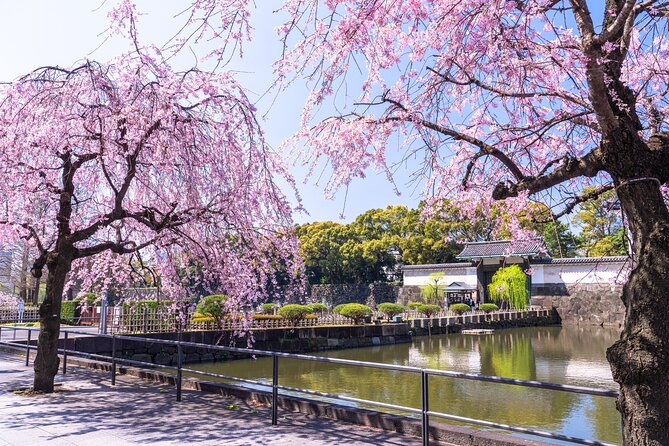 Tokyo Private Tour! Edo Castle & Imperial Palace East Gardens - What you actually see in two hours