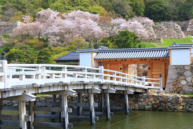Tokyo Private Tour! Edo Castle & Imperial Palace East Gardens - Edo Castle ruins and the vanished center of power