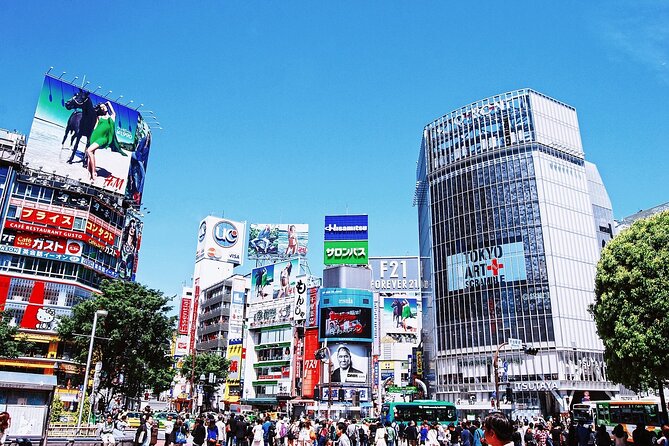 Tokyo Private Tour with Local Expert Guide – Hidden Gems - Walking, trains, heat, and the true daily cost