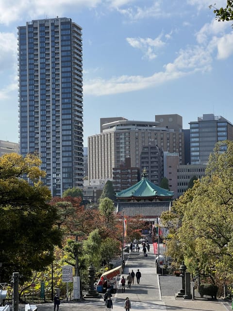 TOKYO Private visit guide Speaking French - Why a private guide helps in Tokyo