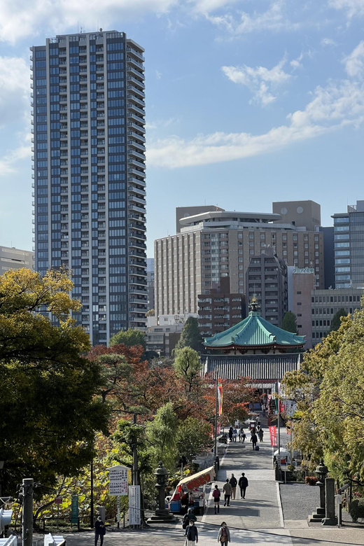 TOKYO Private visit guide Speaking French - Shibuya, dinner, and Tokyo after dark