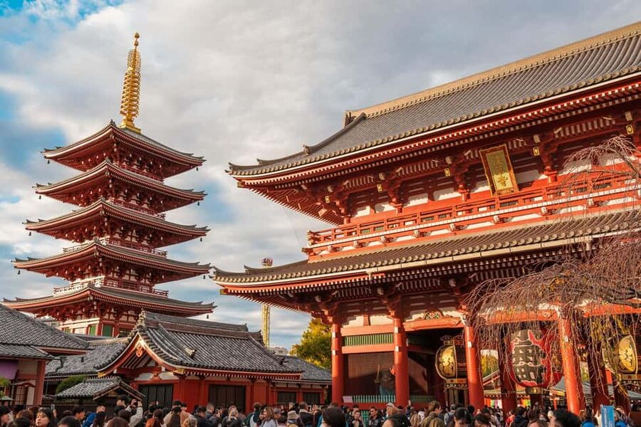 Tokyo: Private Walking Tour with a Local Guide - Key points to know before booking