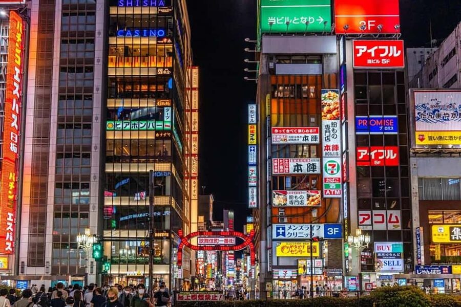 Tokyo: Private Walking Tour with a Local Guide - Ginza and the Imperial Palace: polished Tokyo and national history