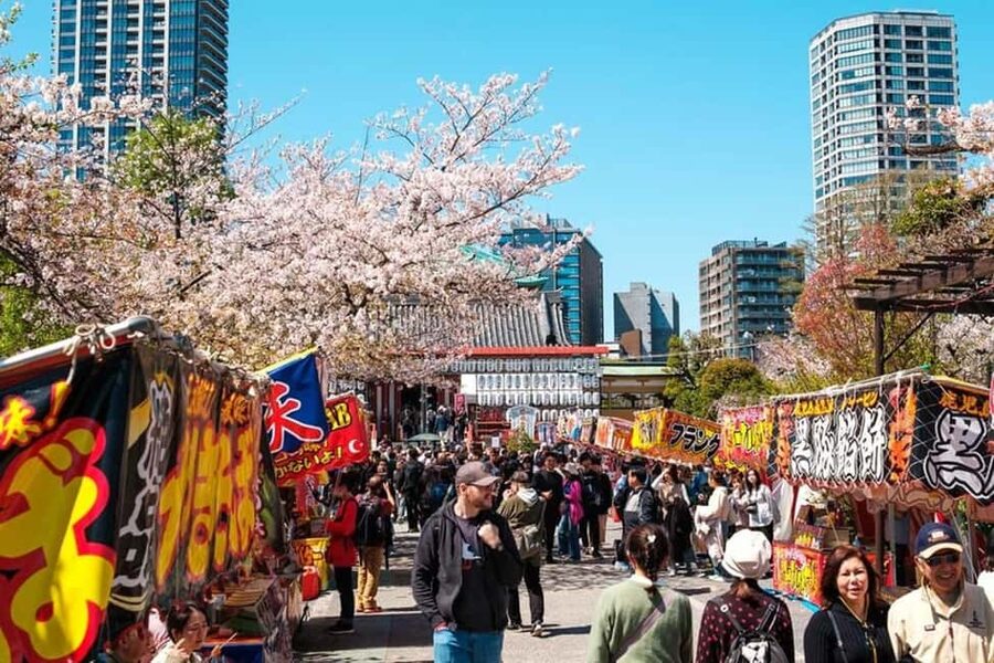 Tokyo: Private Walking Tour with a Local Guide - Meiji Shrine: a calm contrast beside Harajuku