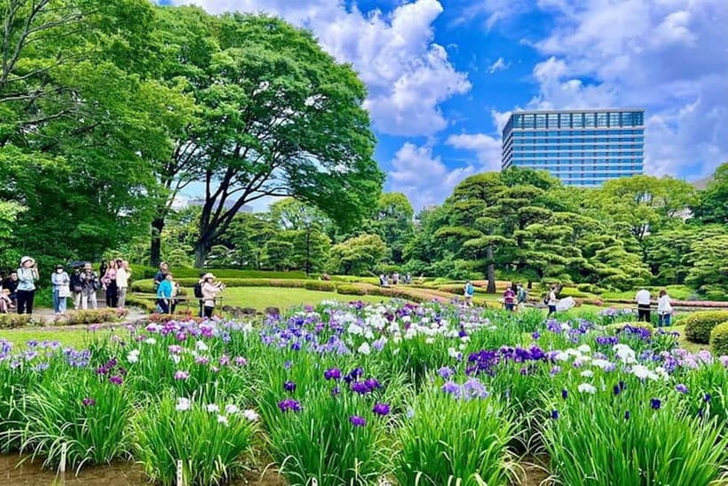 Tokyo: Pvt. Tour - Edo Castle & Imperial Palace East Gardens - The Imperial Palace question, answered plainly