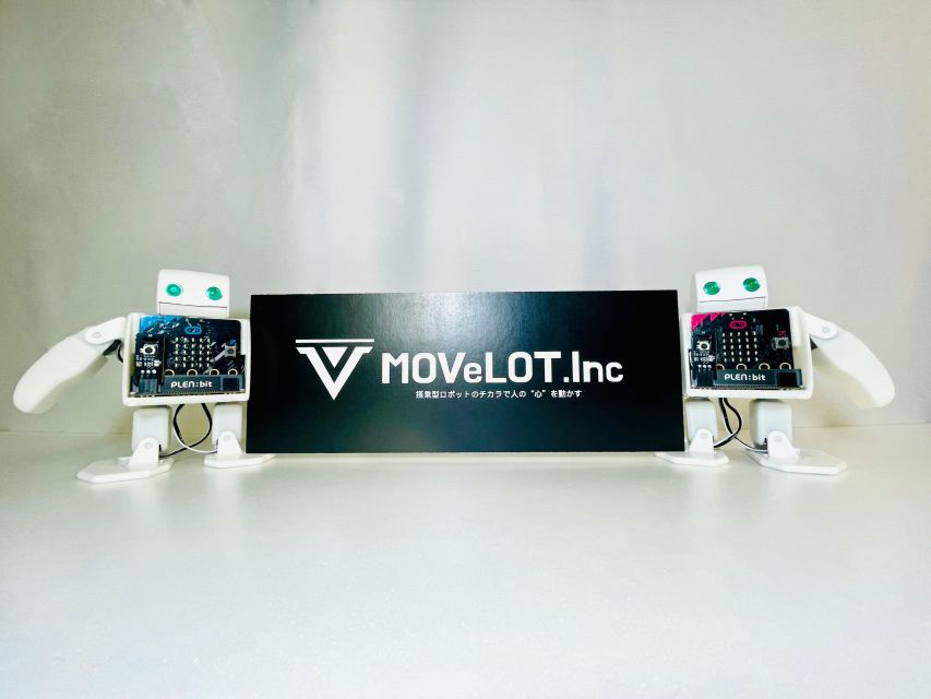 Tokyo: Robot Piloting Attraction Ticket - Why the guides matter so much
