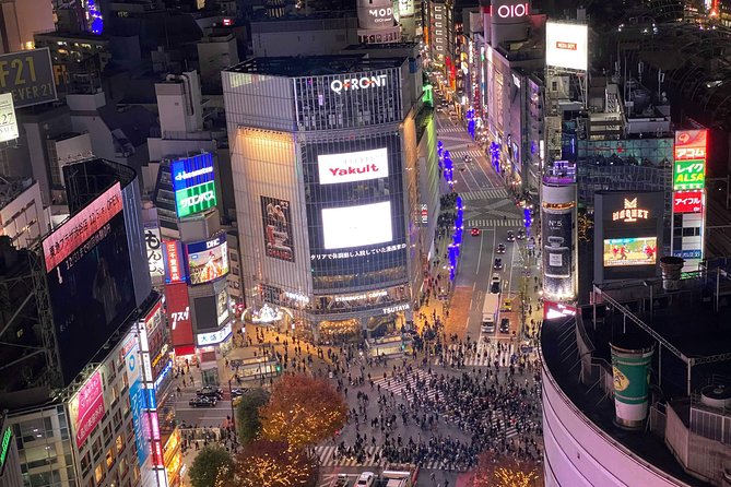 Tokyo: Shibuya Highlights Walking Tour - Seeing Shibuya’s quieter side
