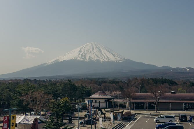 Tokyo: Shinjuku Historical Walking Tour & Secret Backstreets - Hanazono Shrine brings a quiet finish