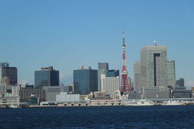 Tokyo Spectacular View Day-Cruise in 90 Minutes - Rainbow Bridge from below