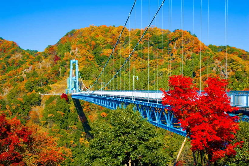 Tokyo: Spring Hitachi Seaside & Ashikaga Flower Park Tour - What the $98 price really buys you