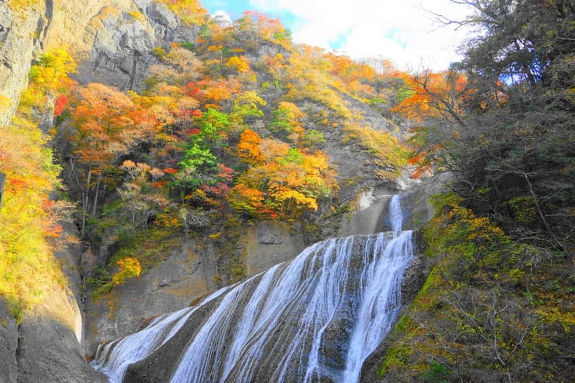 Tokyo: Spring Hitachi Seaside & Ashikaga Flower Park Tour - Guides and group support